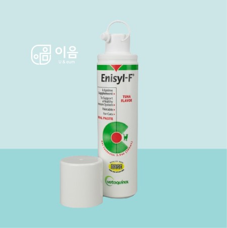 엘라이신영양제 애니실F 100ml 반려묘 Enisyl-F 베토퀴놀